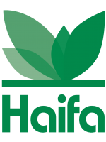 לוגו קבוצת חיפה